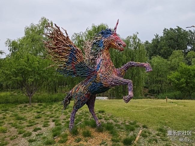 【A57南苑公園】A57超廣角，超給力