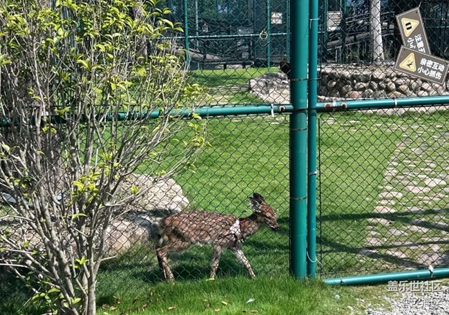 【春夏之旅】戶外樂園