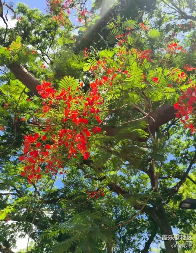 【春夏之旅】山野漫步