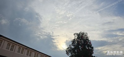隨手拍