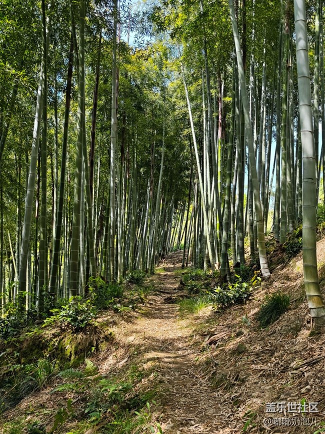 【春夏之旅】徒步古道