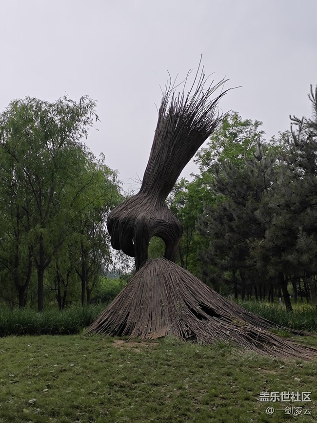 【A57南苑公園】A57超廣角，超給力