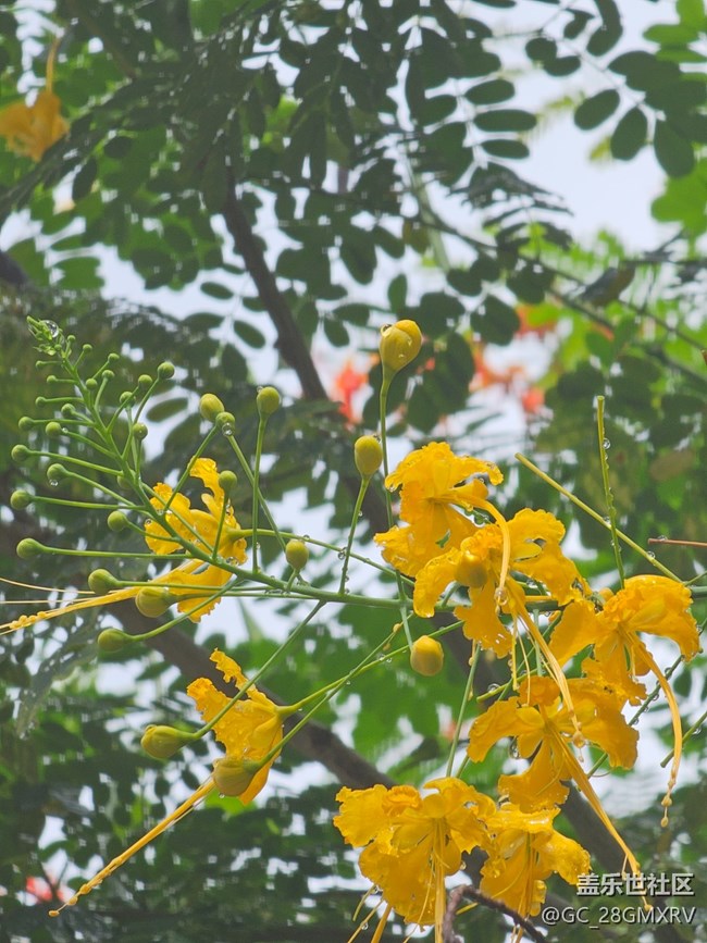 【春夏之旅】雨天散步