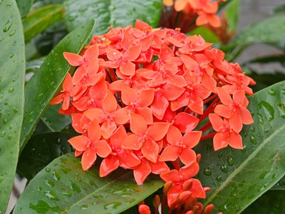 【光影留痕】夏日限定