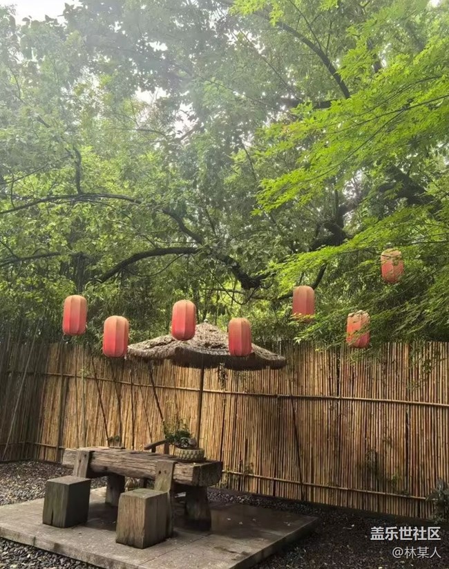 【初夏漫行】魅力杭州