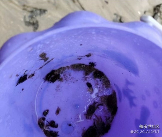 【初夏漫行】去看海