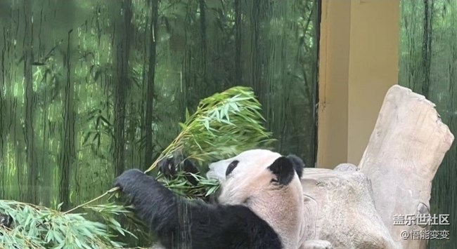 【初夏漫行】動(dòng)物園