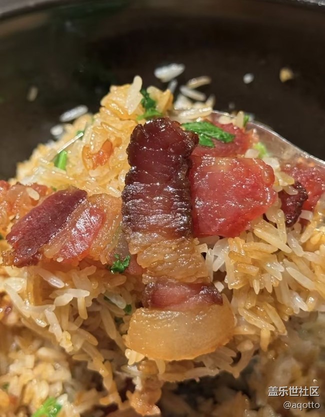 【輕食微光】煲仔飯
