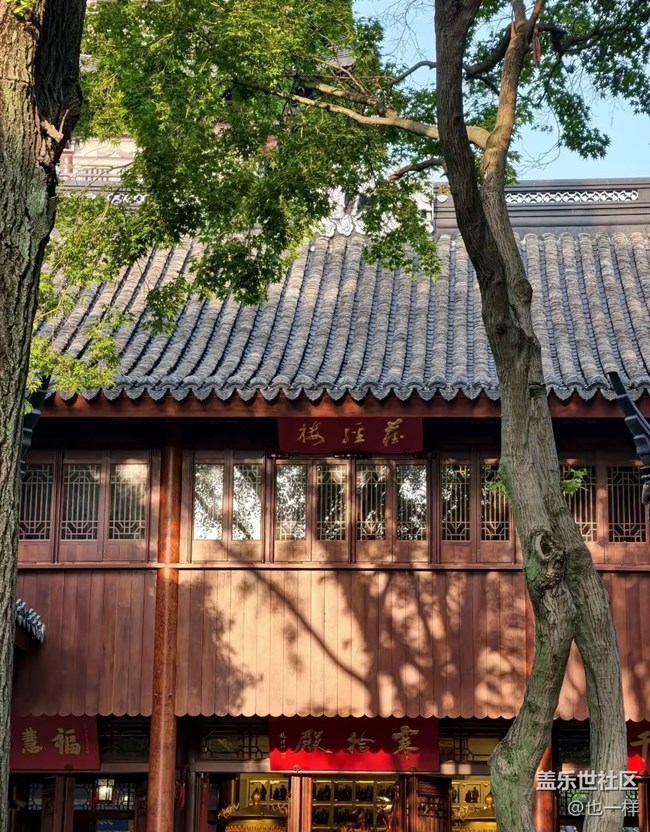 【初夏漫行】寒山寺