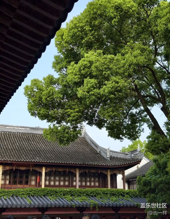 【初夏漫行】寒山寺