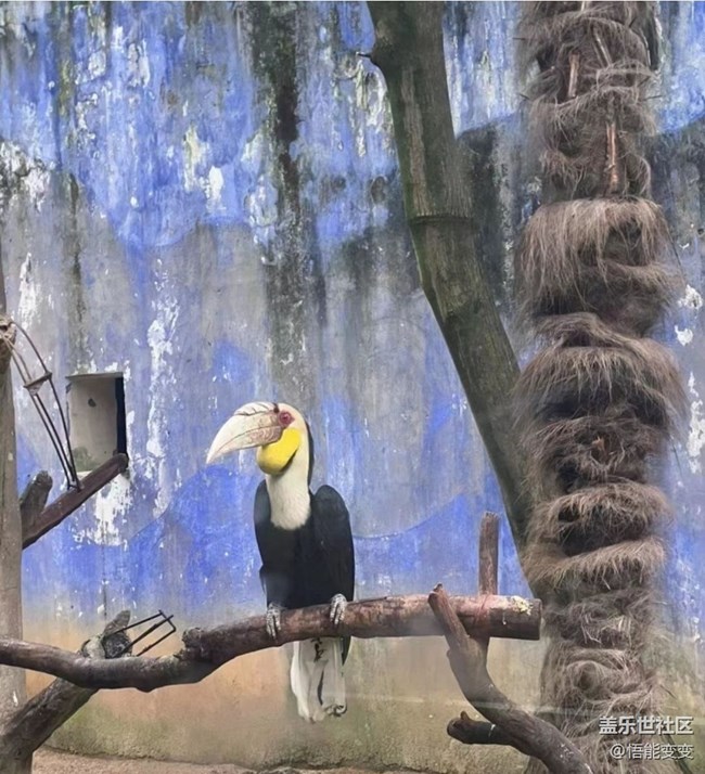 【初夏漫行】動(dòng)物園