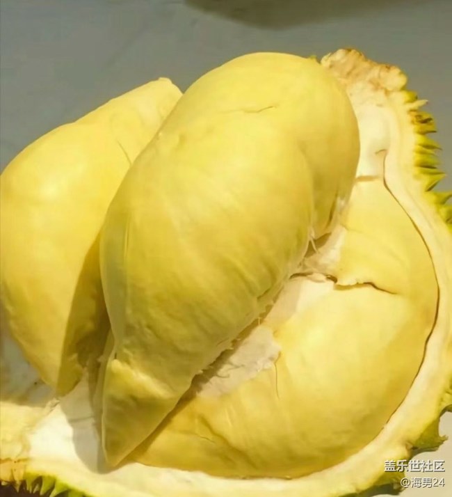 【輕食微光】榴蓮