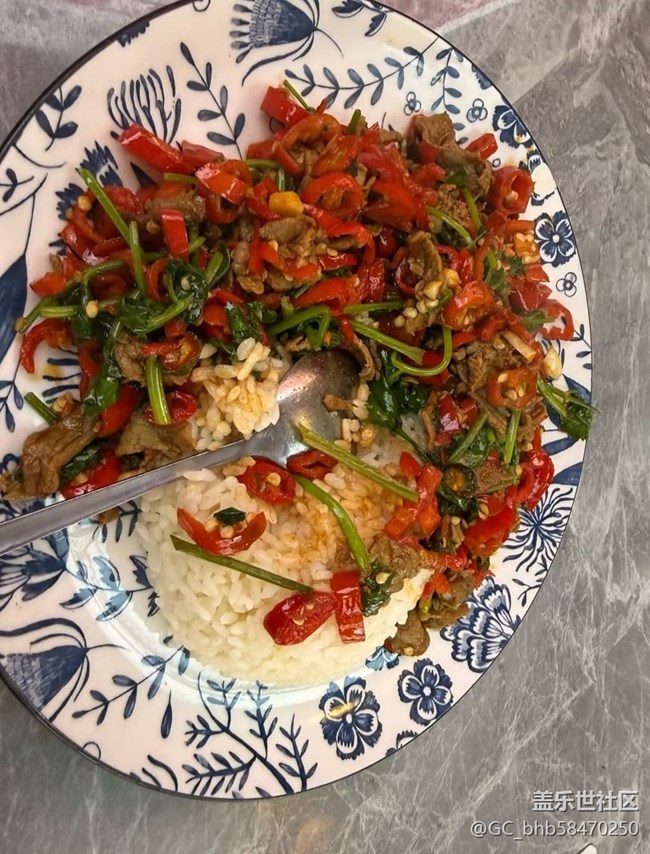 【輕食微光】蓋飯