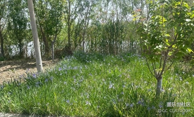 【初夏漫行】濕地公園