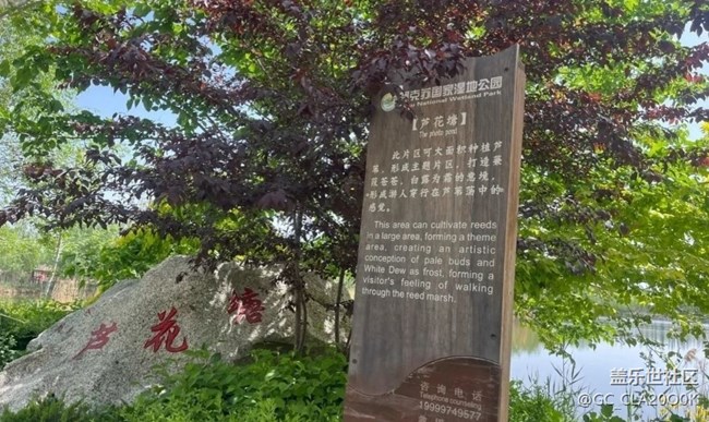 【初夏漫行】濕地公園