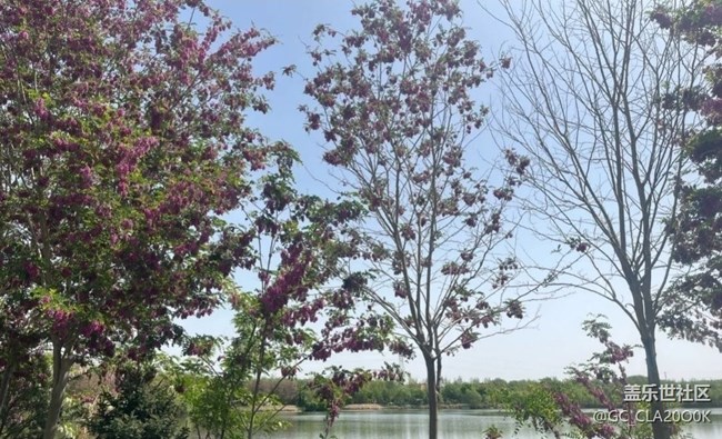 【初夏漫行】濕地公園