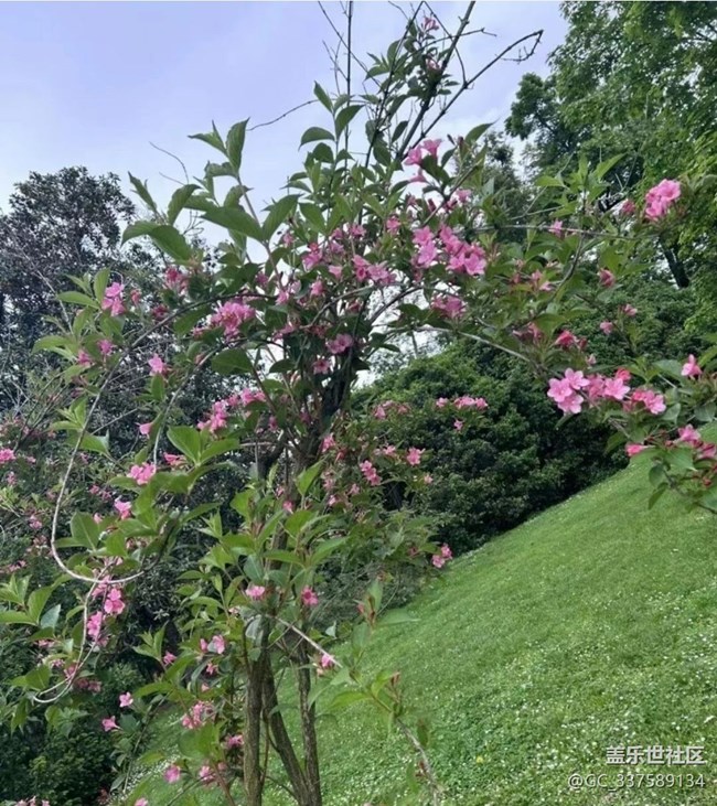 【初夏漫行】萬(wàn)里晴空