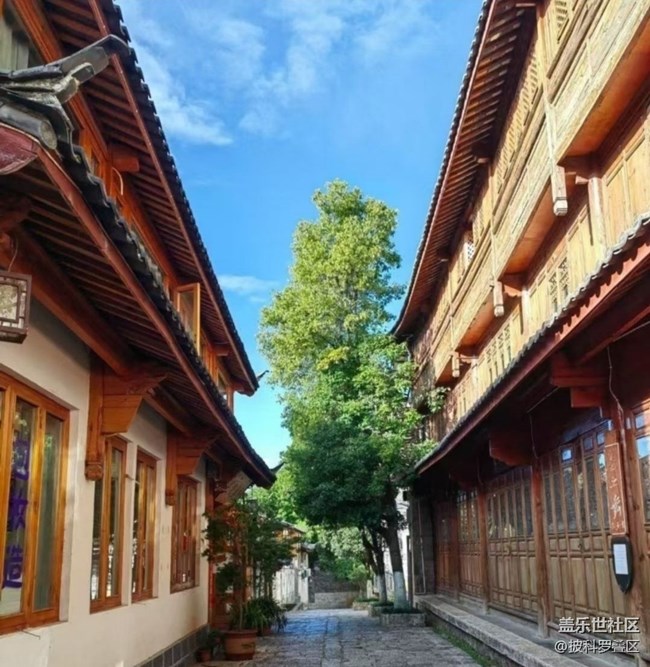 【初夏漫行】麗江古城