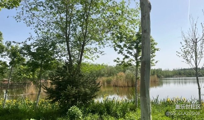 【初夏漫行】濕地公園