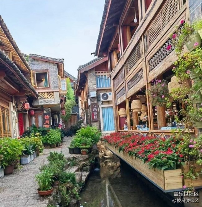 【初夏漫行】麗江古城