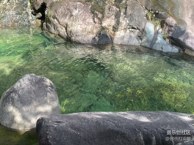 【初夏漫行】清澈小溪