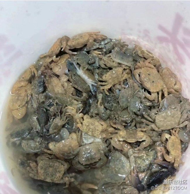 【初夏漫行】捉螃蟹