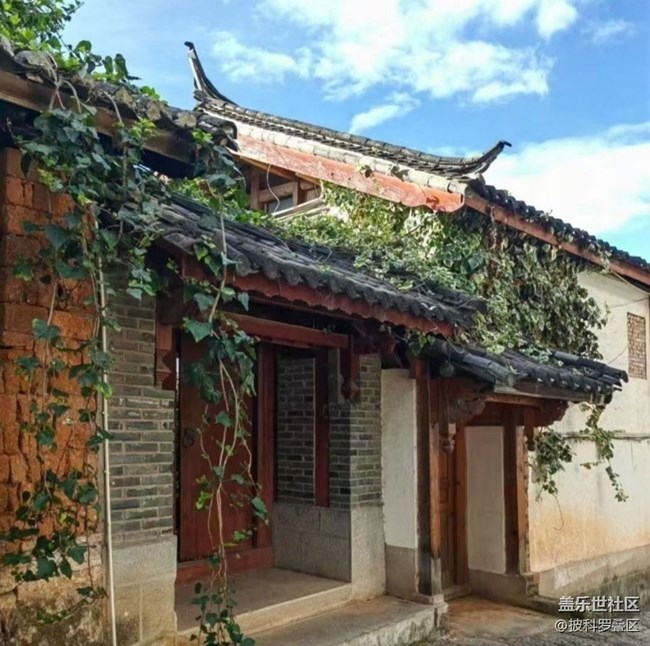 【初夏漫行】麗江古城