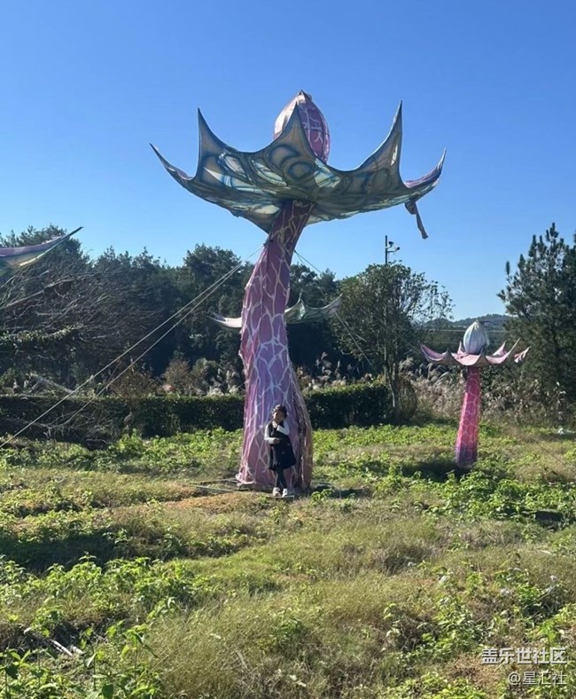 【初夏漫行】愉快假期