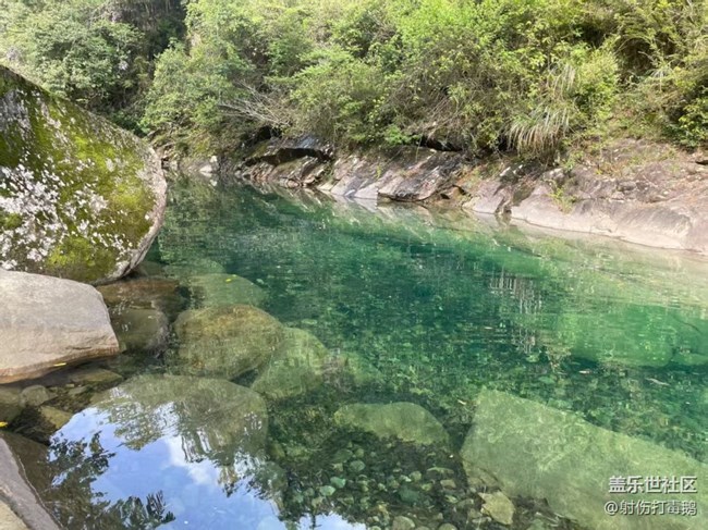 【初夏漫行】清澈小溪