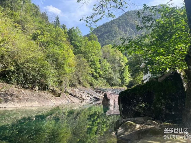 【初夏漫行】清澈小溪