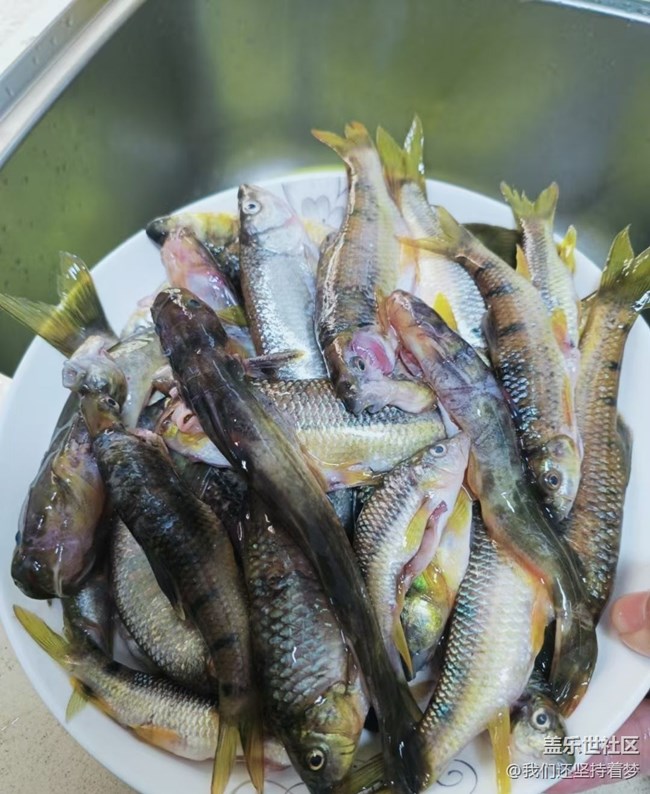 【輕食微光】燒雜魚