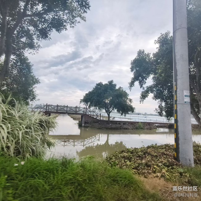 【初夏漫行】隨意行