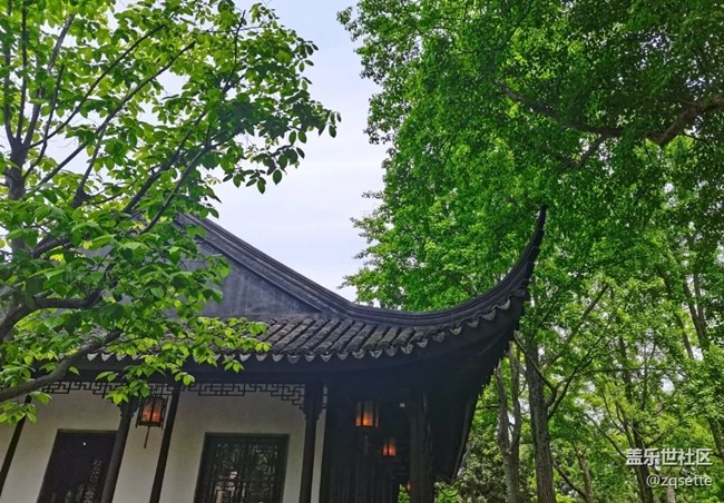 【初夏漫行】拙政園