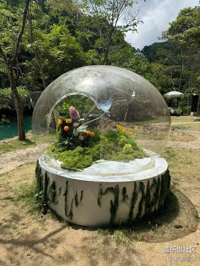 【初夏漫行】向山行