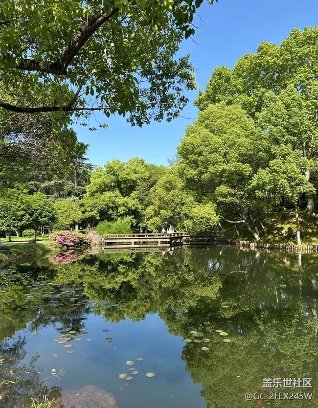 【初夏漫行】游公園