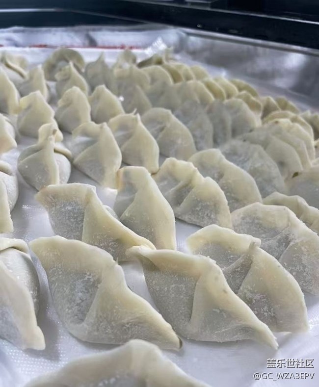 【輕食微光】餃子