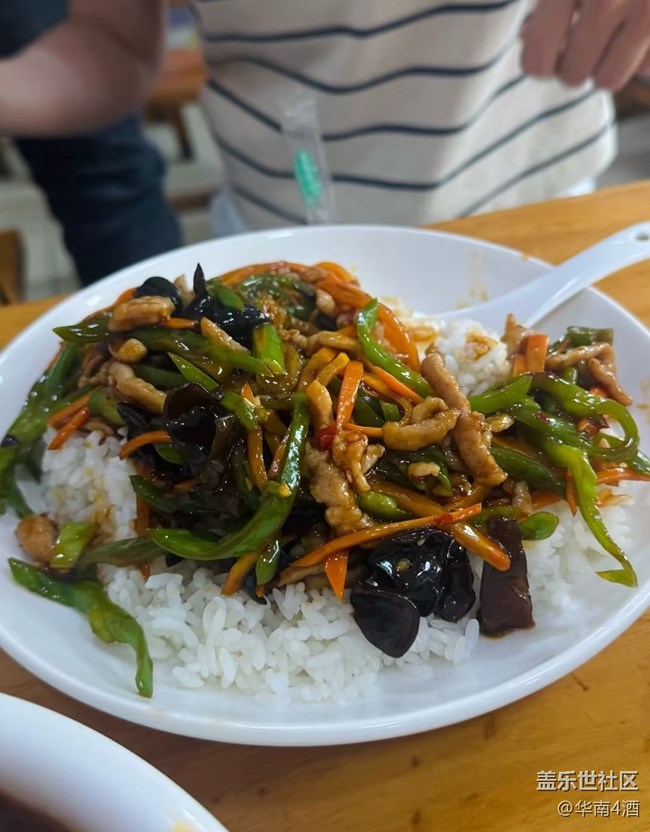 【輕食微光】蓋飯