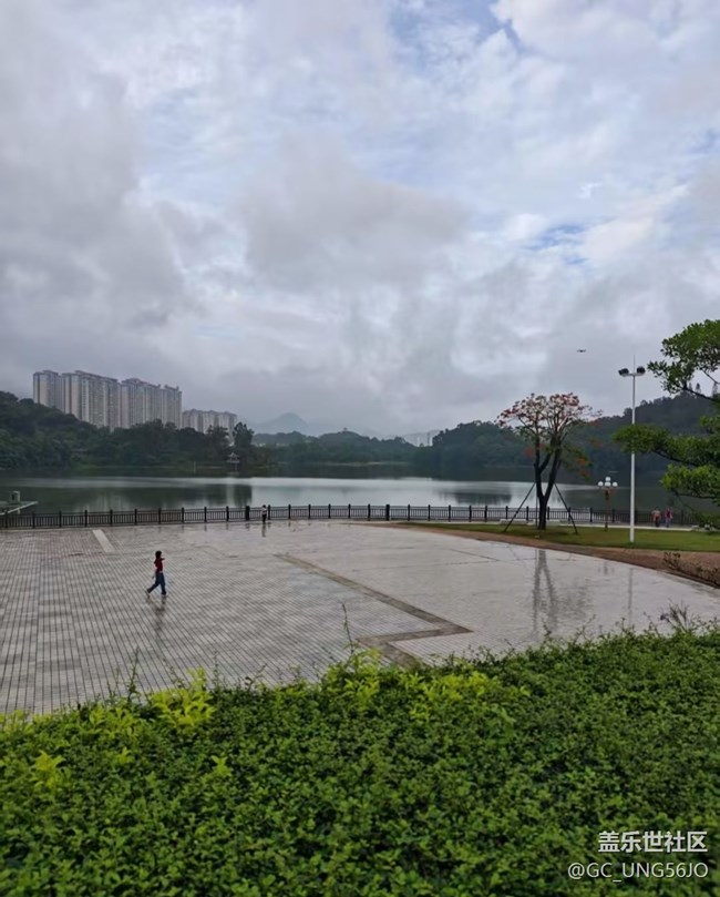 【初夏漫行】雨后