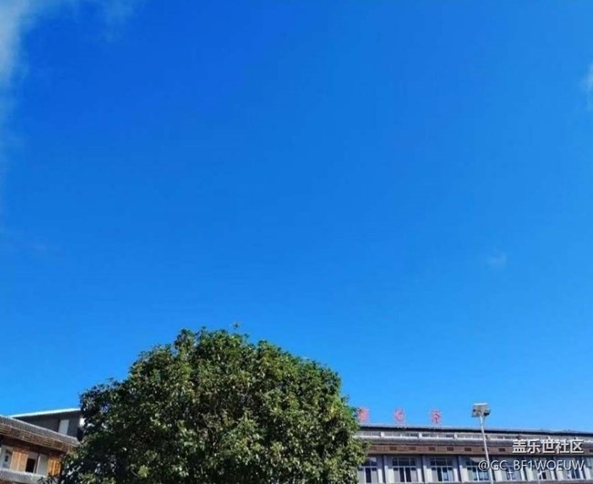 【初夏漫行】入夏了
