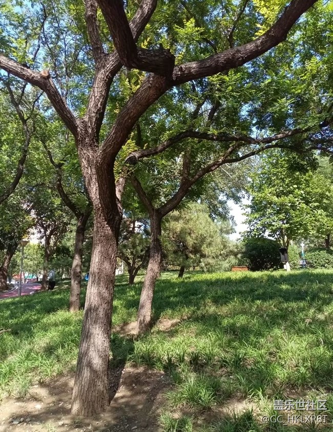 【初夏漫行】四季輪回