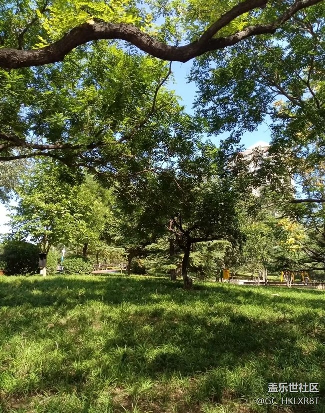 【初夏漫行】四季輪回