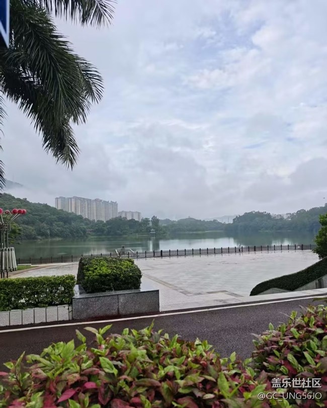 【初夏漫行】雨后
