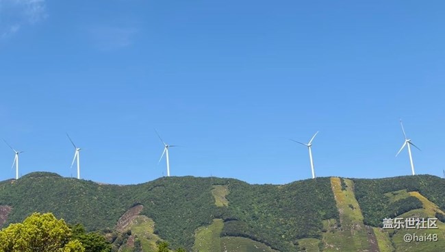 【初夏漫行】五月天