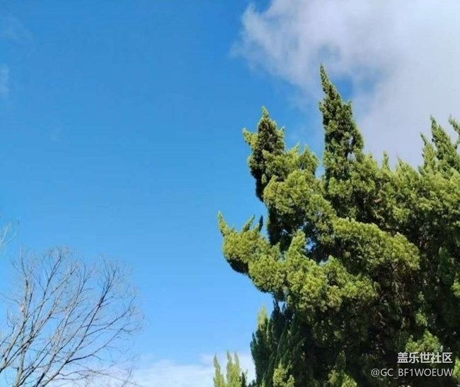 【初夏漫行】入夏了