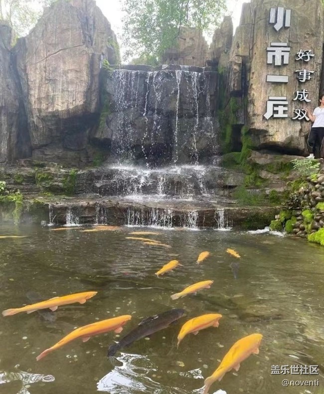 【初夏漫行】小市一莊