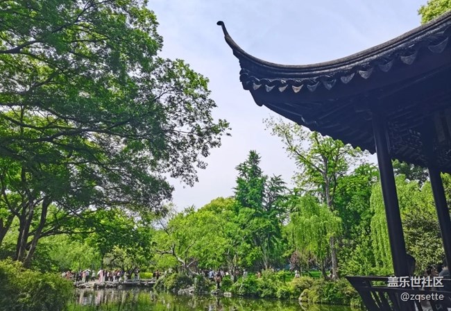 【初夏漫行】拙政園