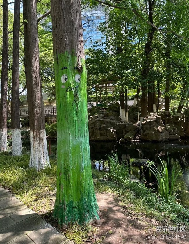 【初夏漫行】游公園