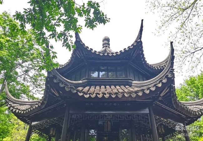 【初夏漫行】拙政園