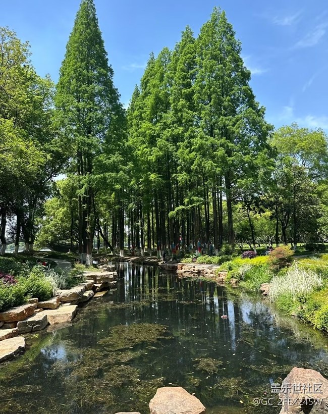 【初夏漫行】游公園