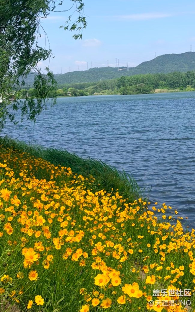 【初夏漫行】初夏的風景